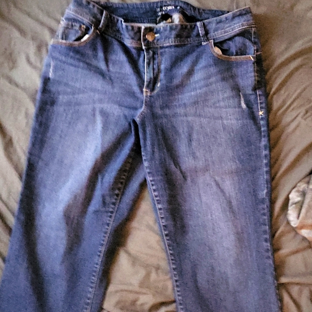 Lane Bryant size 18 Capri